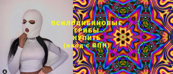 прущая мука Абаза