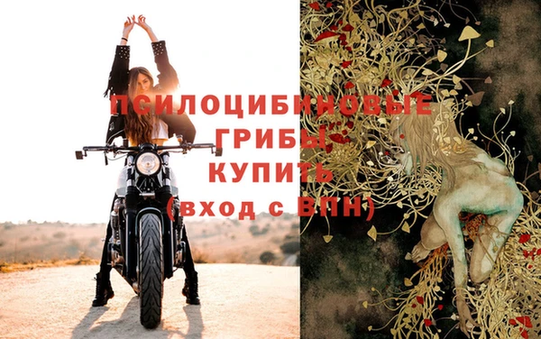 прущая мука Абаза