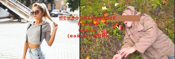 прущая мука Абаза