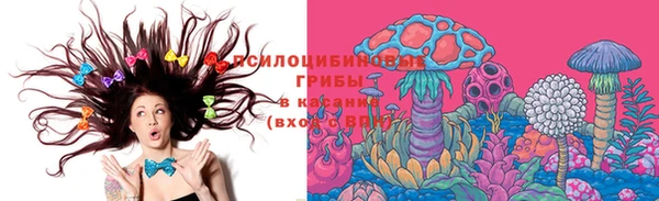 прущая мука Абаза
