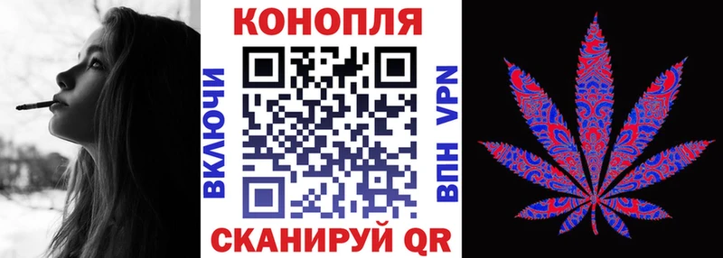 Шишки марихуана планчик  blacksprut как войти  Зубцов  закладка 